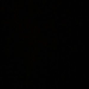 Meet your Posher, Lydia